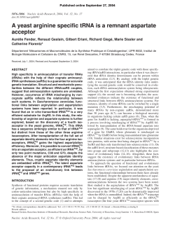A yeast arginine specific tRNA is a remnant