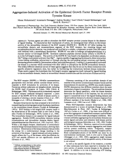 Aggregation-Induced Activation of the Epidermal Growth Factor