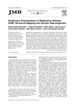 Quaternary Polymorphism of Replicative Helicase G40P
