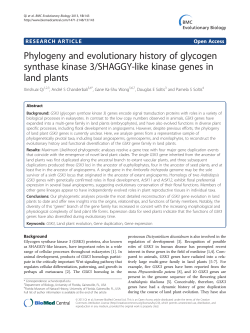Phylogeny and evolutionary history of glycogen synthase kinase 3