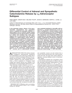 Differential Control of Adrenal and Sympathetic Catecholamine