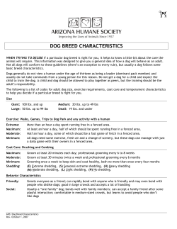 dog breed characteristics