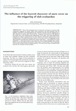 the triggering of slab avalanches