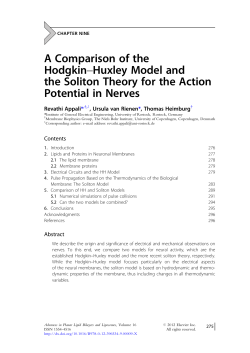 A Comparison of the Hodgkin&ndash;Huxley Model and the Soliton Theory