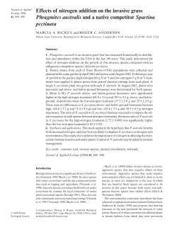 Effects of nitrogen addition on the invasive grass Phragmites