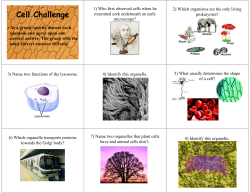 C ll Ch ll ell Challenge