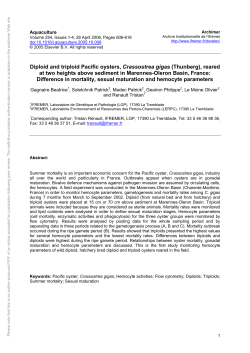 Diploid and triploid Pacific oysters, Crassostrea gigas
