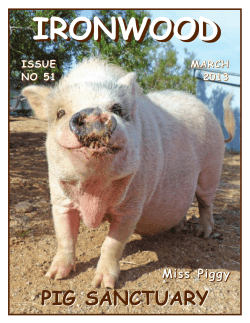 Ironwood Pig Sanctuary