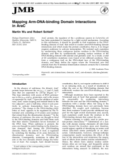 Mapping Arm-DNA-binding Domain Interactions in