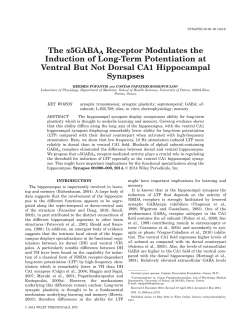 The &alpha;5GABAA receptor modulates the induction of long‐term