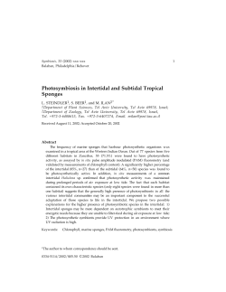 Photosymbiosis in Intertidal and Subtidal Tropical Sponges