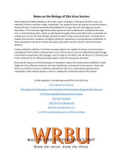 Notes on the Biology of Zika Virus Vectors