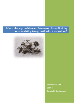 Arbuscular mycorrhizae vs. Ectomycorrhizae
