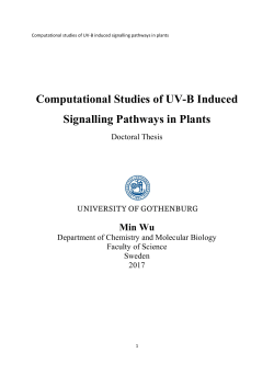 Computational Studies of UV-B Induced Signalling Pathways in Plants