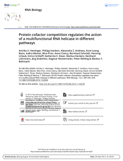 Protein cofactor competition regulates the action of a multifunctional