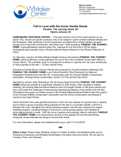 Fall in Love with the Iconic Gentle Giants