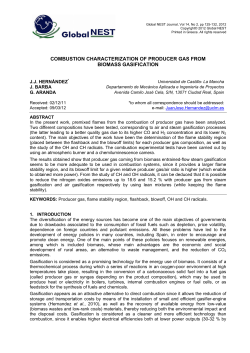 COMBUSTION CHARACTERIZATION OF PRODUCER GAS FROM