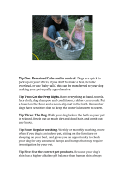 Tip One: Remained Calm and in control. Dogs are quick to pick up on