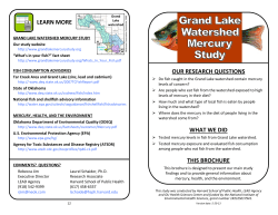 OUR RESEARCH QUESTIONS WHAT WE DID THIS BROCHURE