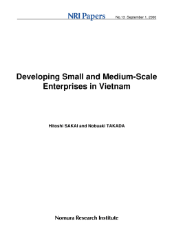Developing Small and Medium-Scale Enterprises in Vietnam