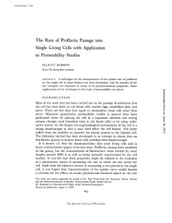 The Rate of Proflavin Passage into Single Living Cells with