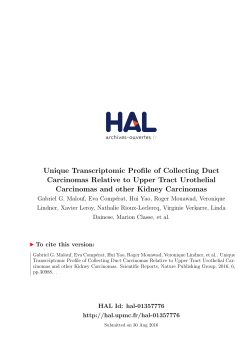 Unique Transcriptomic Profile of Collecting Duct