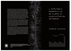 A strategic Perspective on Plants in manufacturing networks
