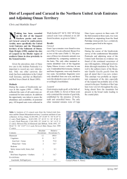 Diet of Leopard and Caracal in the Northern United Arab Emirates