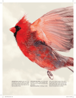 Data on Wings - Cornell Computer Science