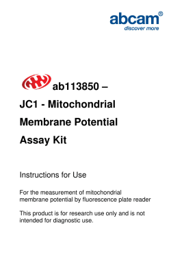 ab113850 – JC1 - Mitochondrial Membrane Potential