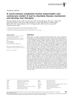 A novel immune competent murine hypertrophic scar contracture