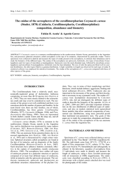 as a PDF