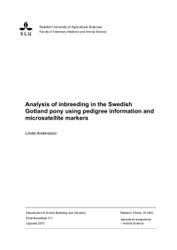 Analysis of inbreeding in the Swedish Gotland pony using pedigree