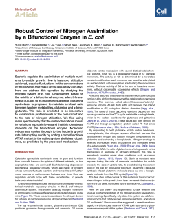 Robust Control of Nitrogen Assimilation by a Bifunctional Enzyme in
