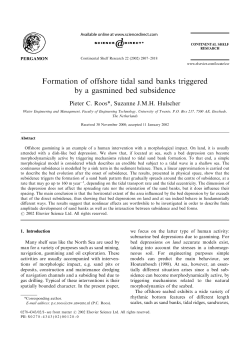 Formation of offshore tidal sand banks triggered by a