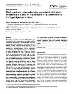 Root respiratory characteristics associated with plant adaptation to