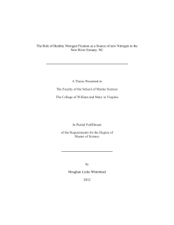 Role of benthic nitrogen fixation as a source of new nitrogen to the