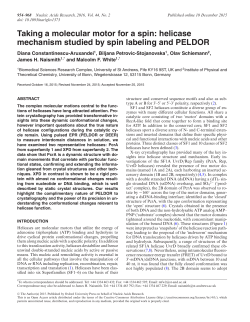 Taking a molecular motor for a spin: helicase