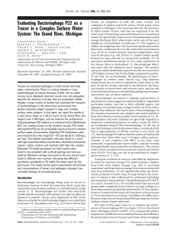 Evaluating Bacteriophage P22 as a Tracer in a