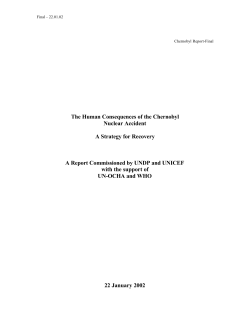 Chernobyl Report-Final