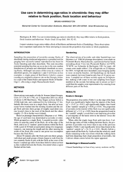 ratios in shorebirds: they may differ relative to flock position, flock