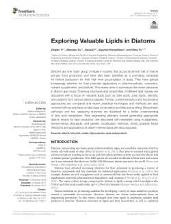 Exploring Valuable Lipids in Diatoms