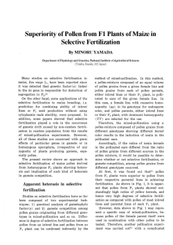 Superiority of Pollen from Fl Plants of Maize in Selective Fertilization