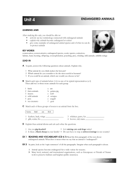 04 Endangered animals