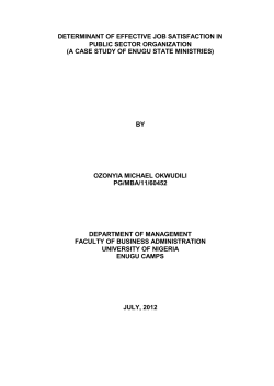 determinant of effective job satisfaction in public sector organization