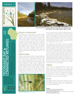 Moonlight Bay - Wisconsin Wetlands Association