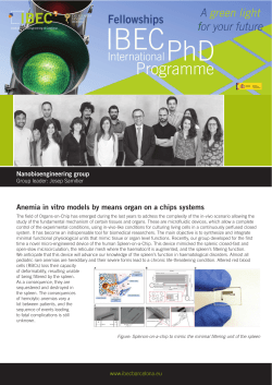 Anemia in vitro models by means organ on a chips systems