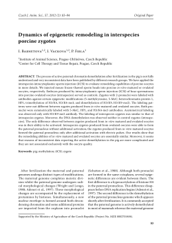 Dynamics of epigenetic remodeling in interspecies porcine zygotes