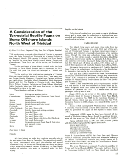 A Consideration of the Terrestrial Reptile Fauna on Some Offshore