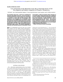Loss of Function of the Homeobox Gene Hoxa-9